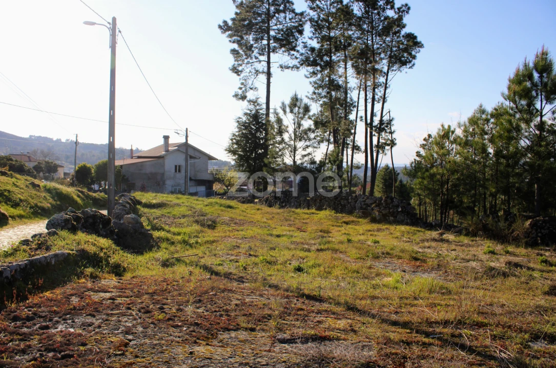 Moradia T3 para Venda em Tavares (Chãs, Várzea e Travanca) Foto 14
