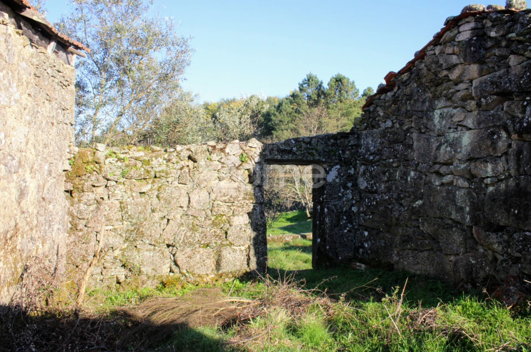 Moradia T3 para Venda em Tavares (Chãs, Várzea e Travanca) Foto 11