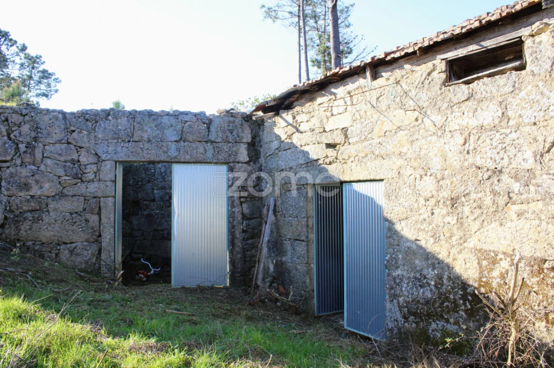 Moradia T3 para Venda em Tavares (Chãs, Várzea e Travanca) Foto 13