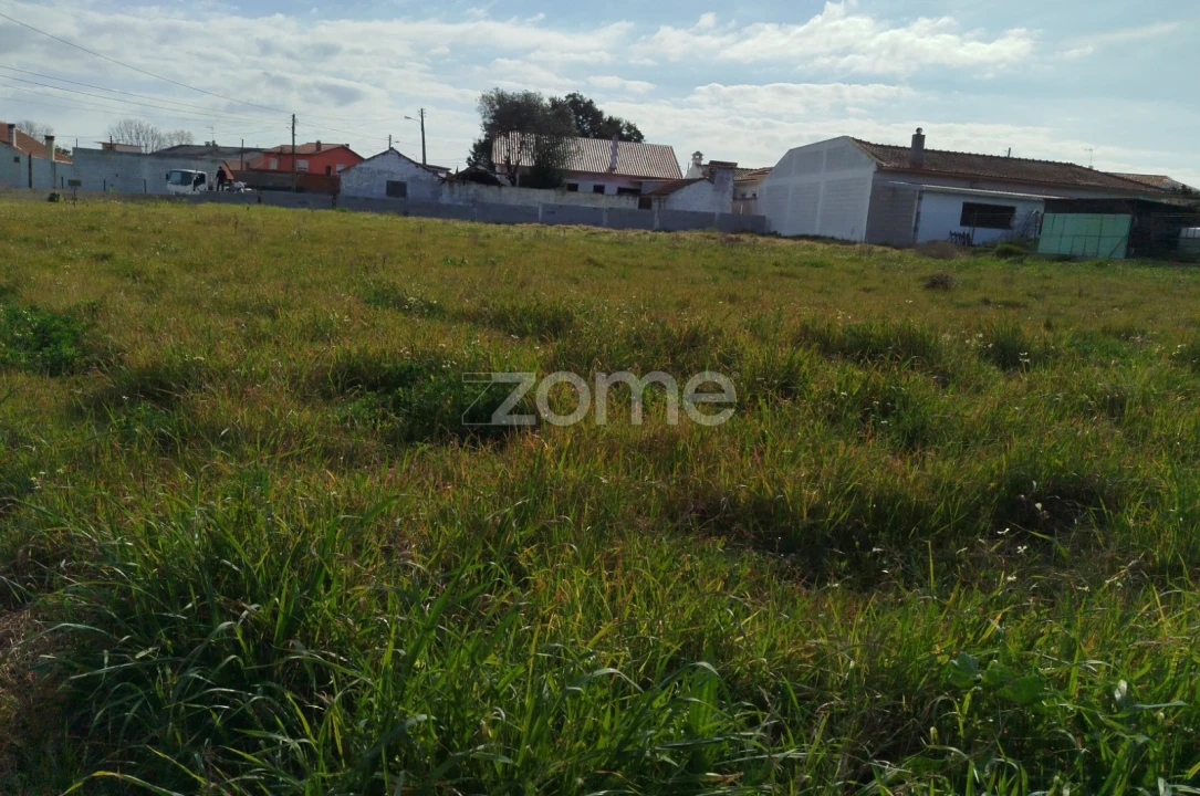 Quinta T11 para Venda em Vila Maior Foto 49