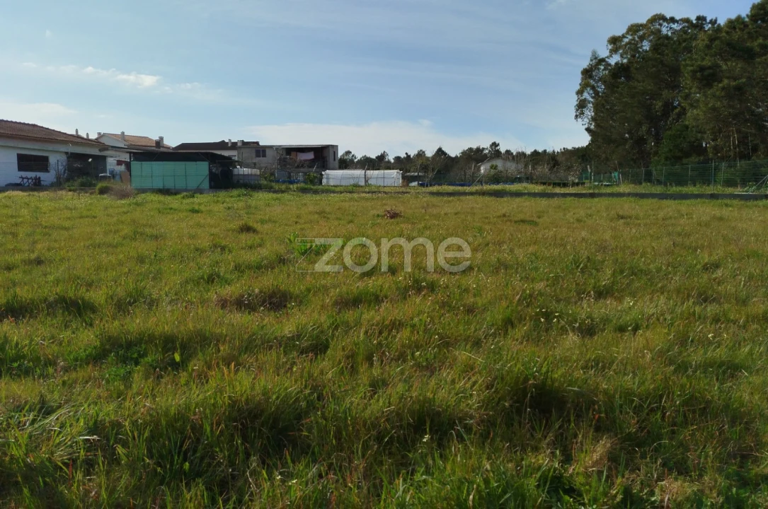 Quinta T11 para Venda em Vila Maior Foto 53
