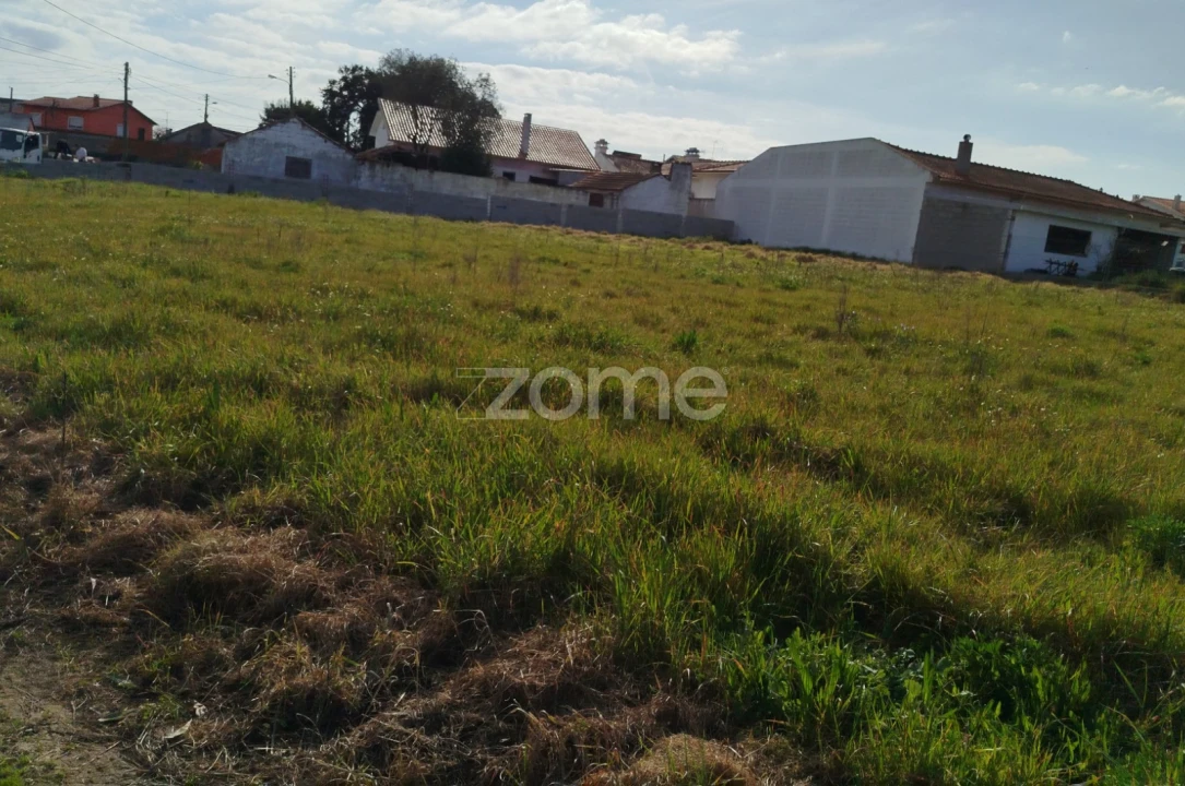 Quinta T11 para Venda em Vila Maior Foto 56