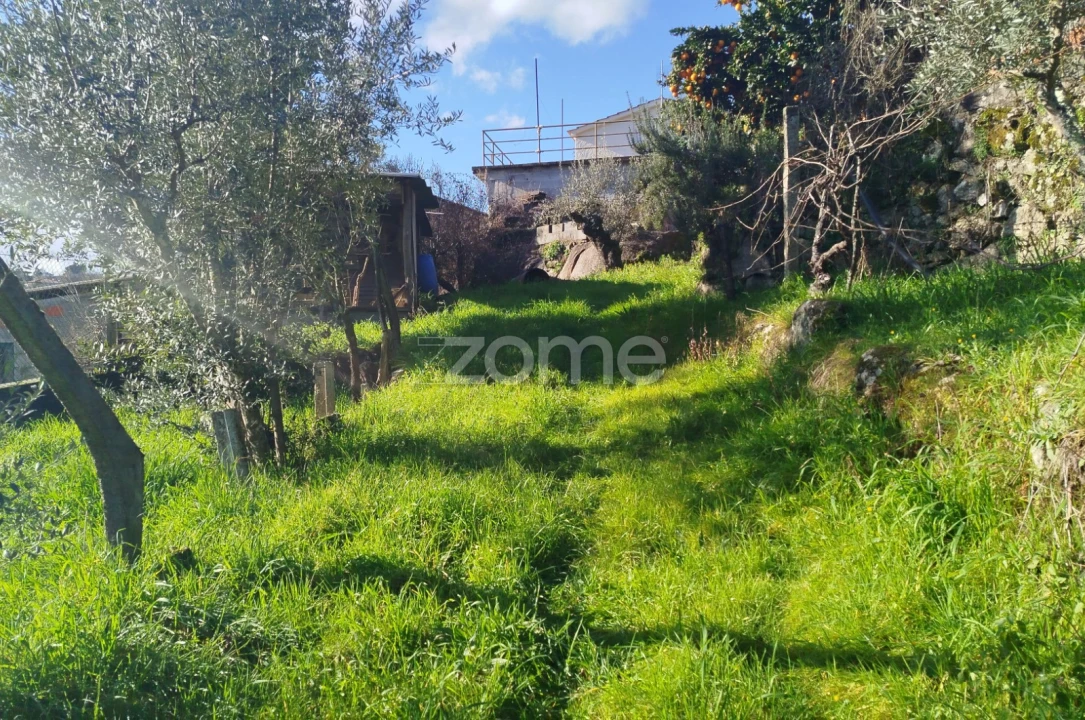 Quinta T11 para Venda em Vila Maior Foto 57