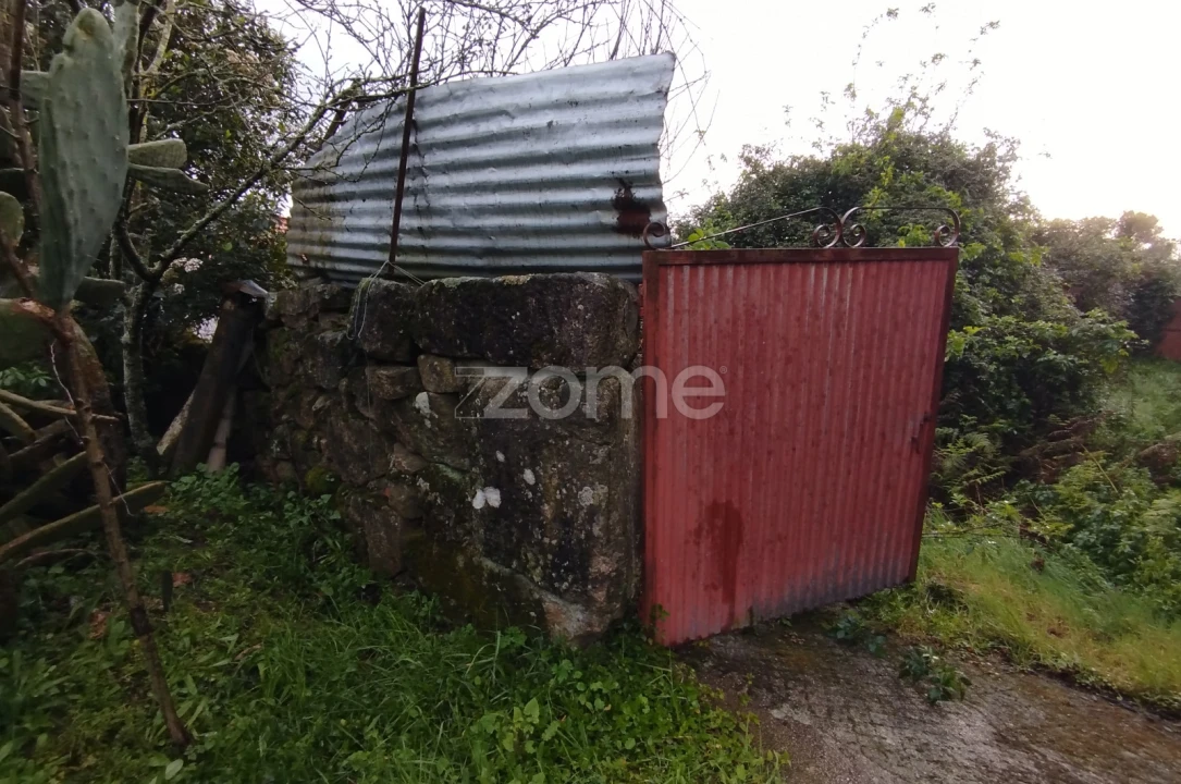 Quinta T11 para Venda em Vila Maior Foto 17