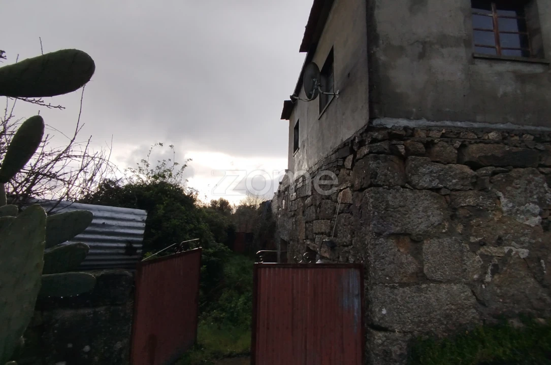 Quinta T11 para Venda em Vila Maior Foto 21