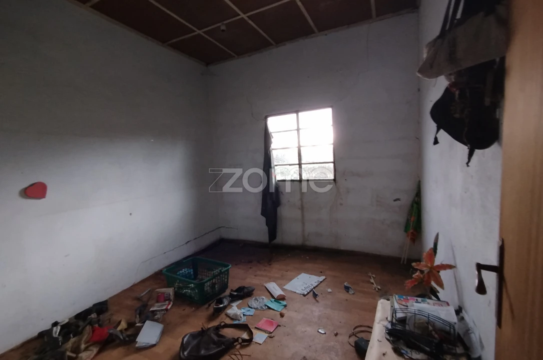 Quinta T11 para Venda em Vila Maior Foto 40