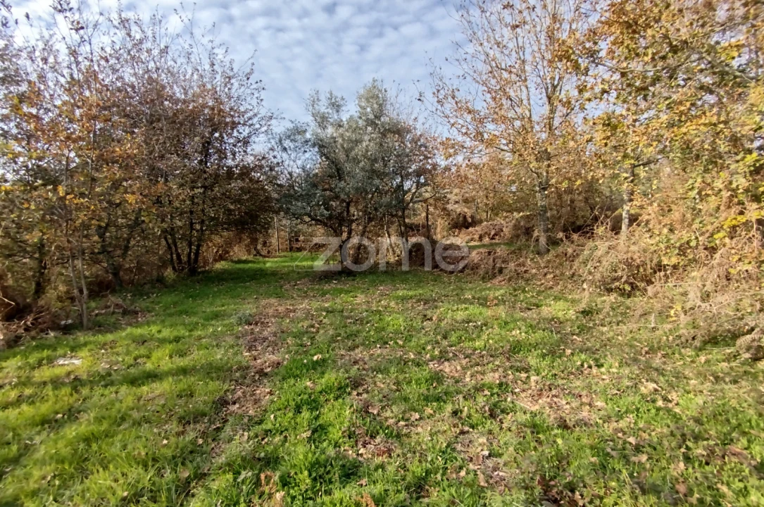 Quinta T11 para Venda em Vila Maior Foto 63