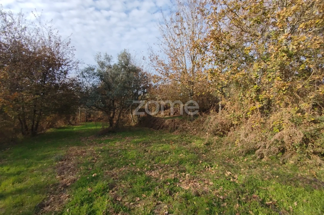 Quinta T11 para Venda em Vila Maior Foto 64