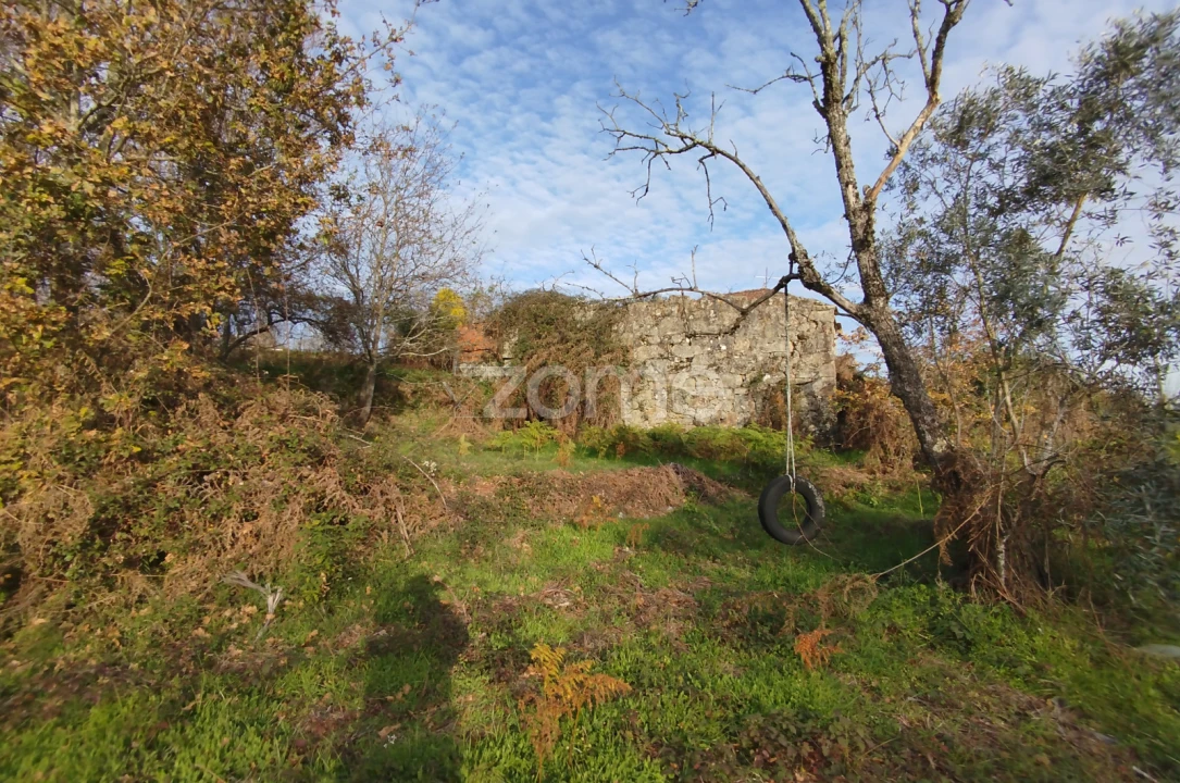 Quinta T11 para Venda em Vila Maior Foto 65