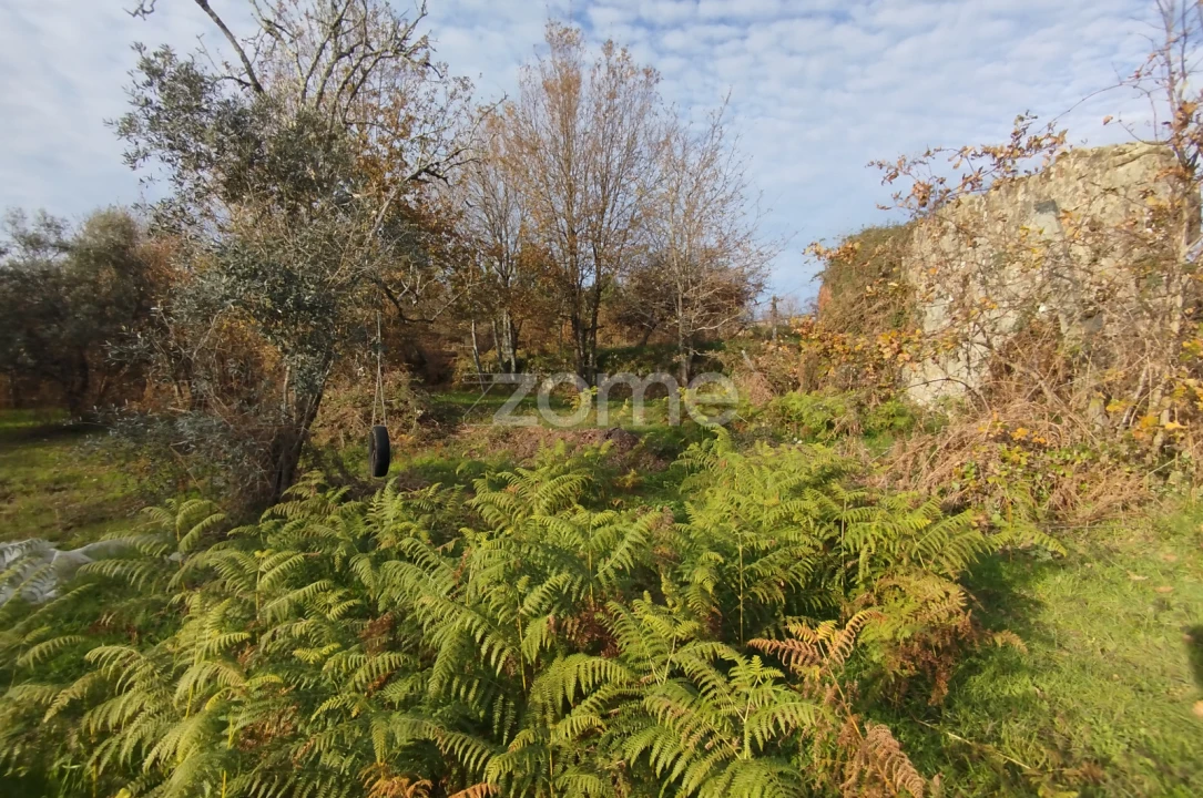 Quinta T11 para Venda em Vila Maior Foto 72