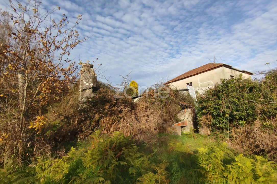 Quinta T11 para Venda em Vila Maior Foto 71