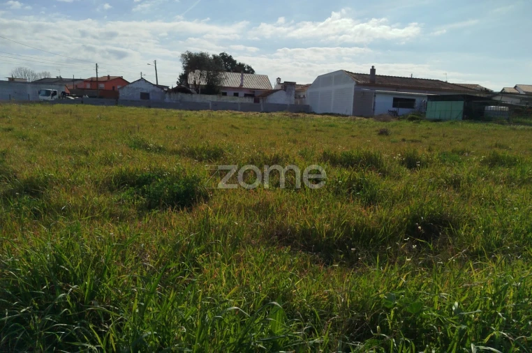 Quinta T11 para Venda em Vila Maior Foto 47