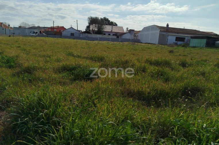 Quinta T11 para Venda em Vila Maior Foto 49