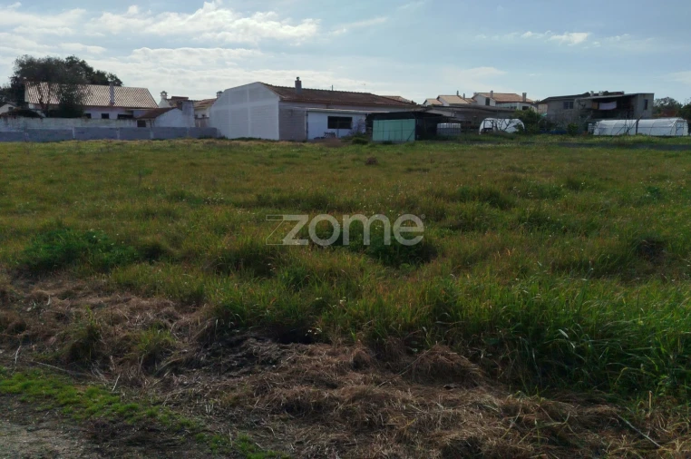 Quinta T11 para Venda em Vila Maior Foto 50