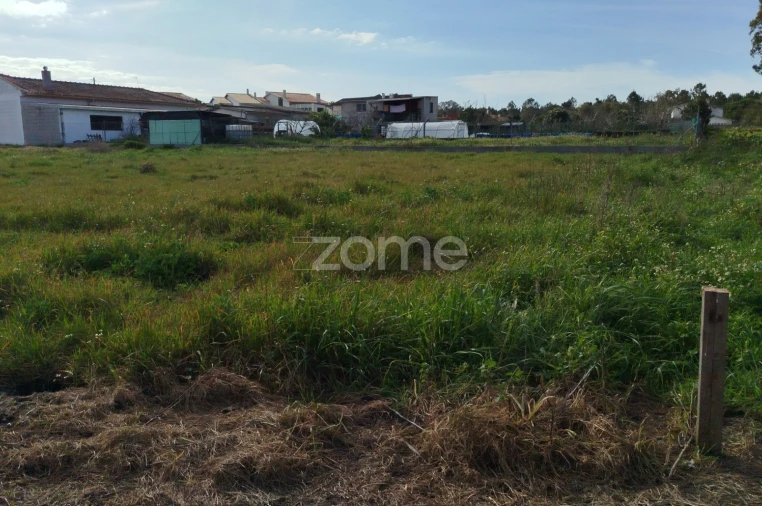 Quinta T11 para Venda em Vila Maior Foto 51
