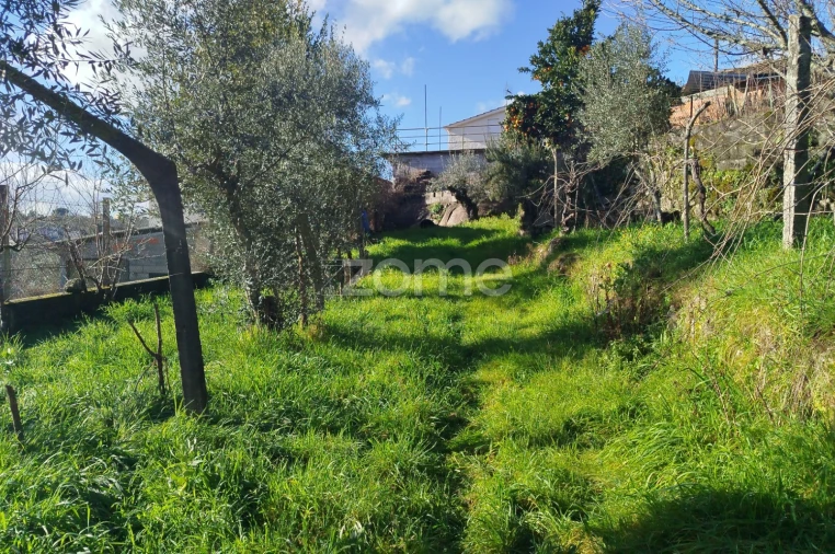 Quinta T11 para Venda em Vila Maior Foto 56