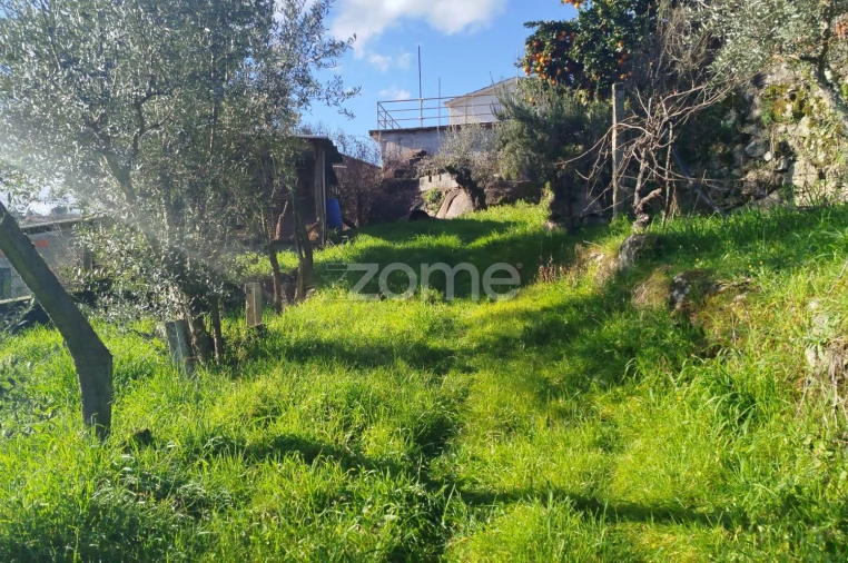 Quinta T11 para Venda em Vila Maior Foto 58