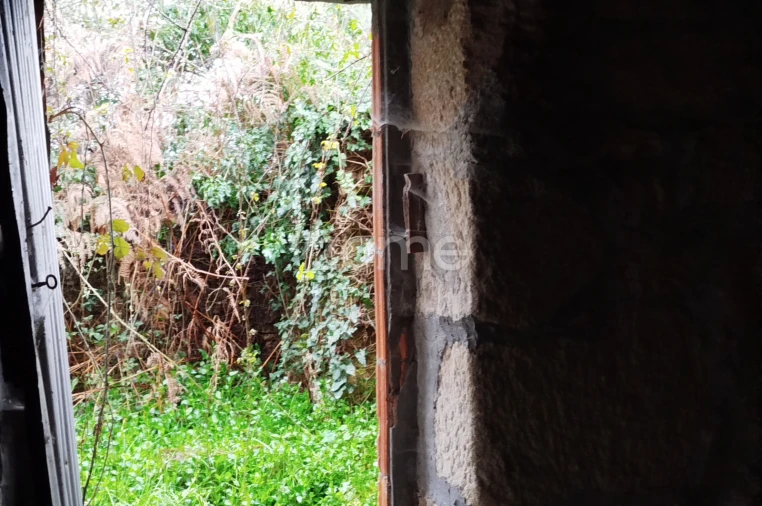 Quinta T11 para Venda em Vila Maior Foto 2