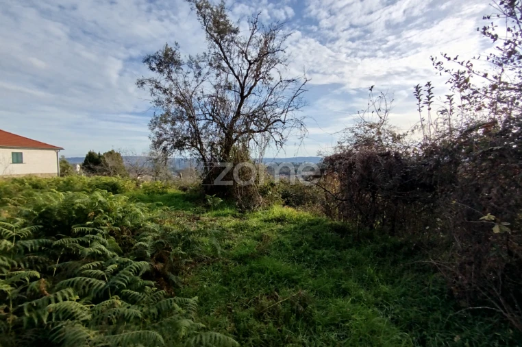 Quinta T11 para Venda em Vila Maior Foto 66
