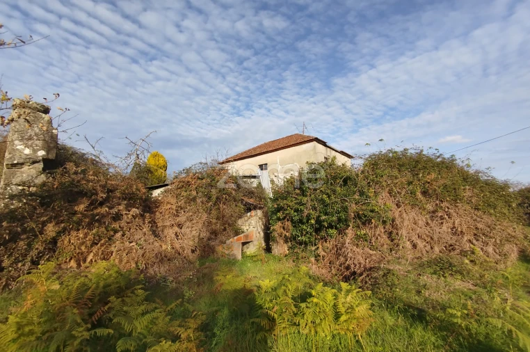 Quinta T11 para Venda em Vila Maior Foto 73