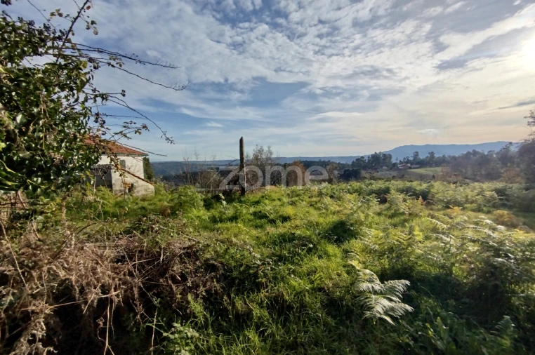 Quinta T11 para Venda em Vila Maior Foto 68