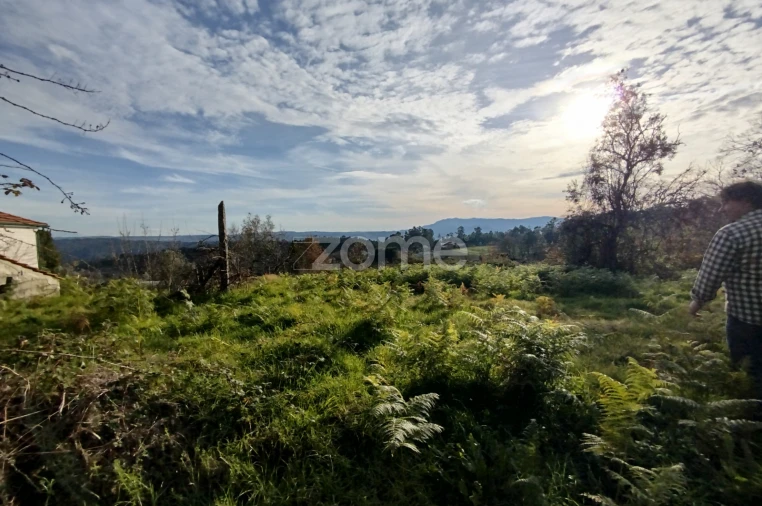 Quinta T11 para Venda em Vila Maior Foto 75