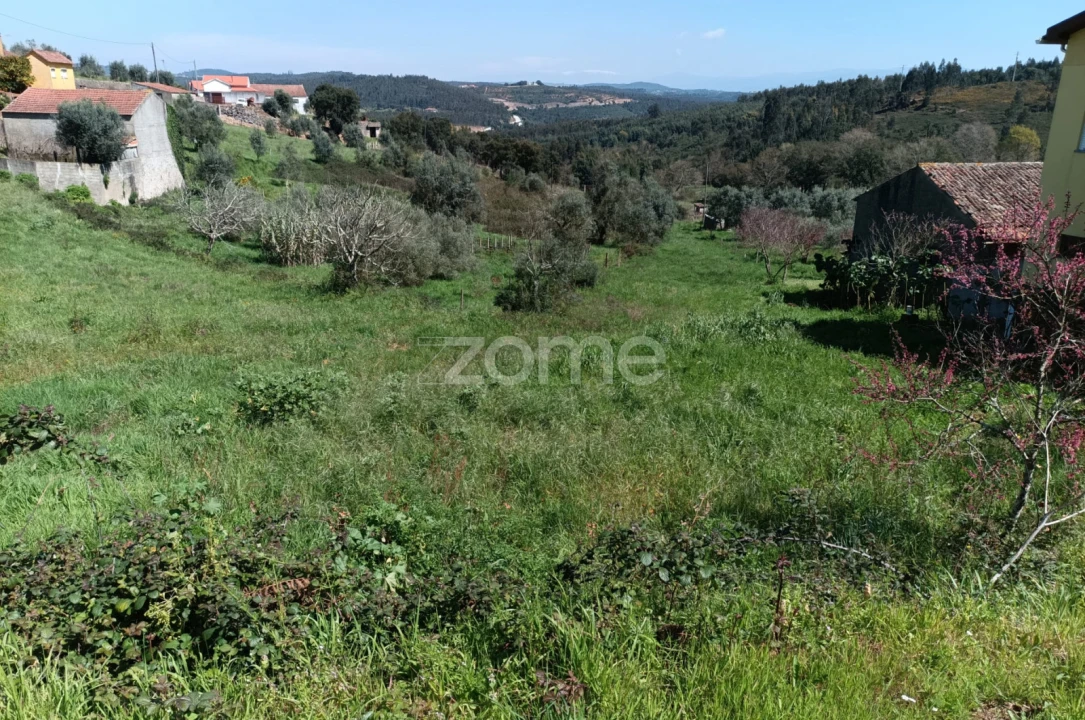 Terreno para Venda em Lavegadas Foto 9
