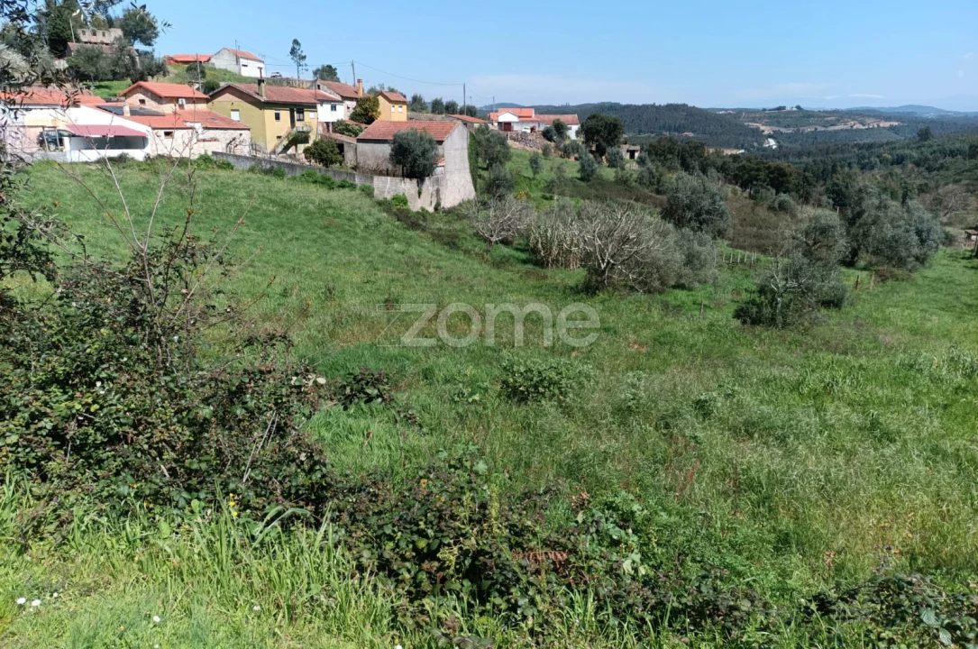 Terreno para Venda em Lavegadas Foto 10