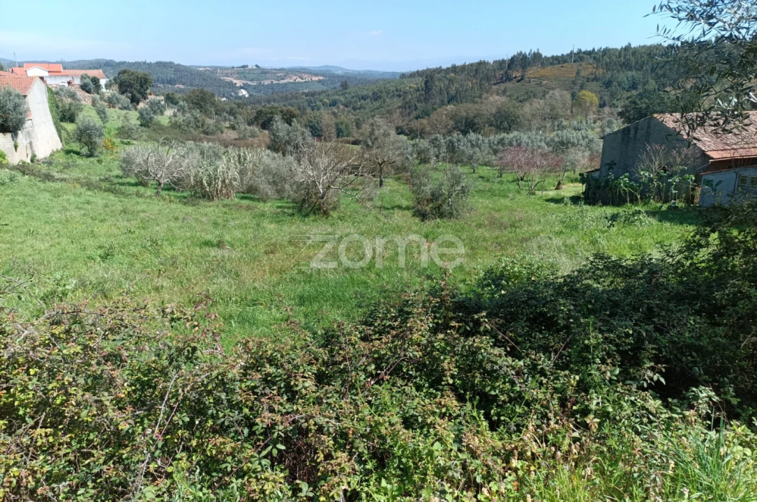 Terreno para Venda em Lavegadas Foto 1