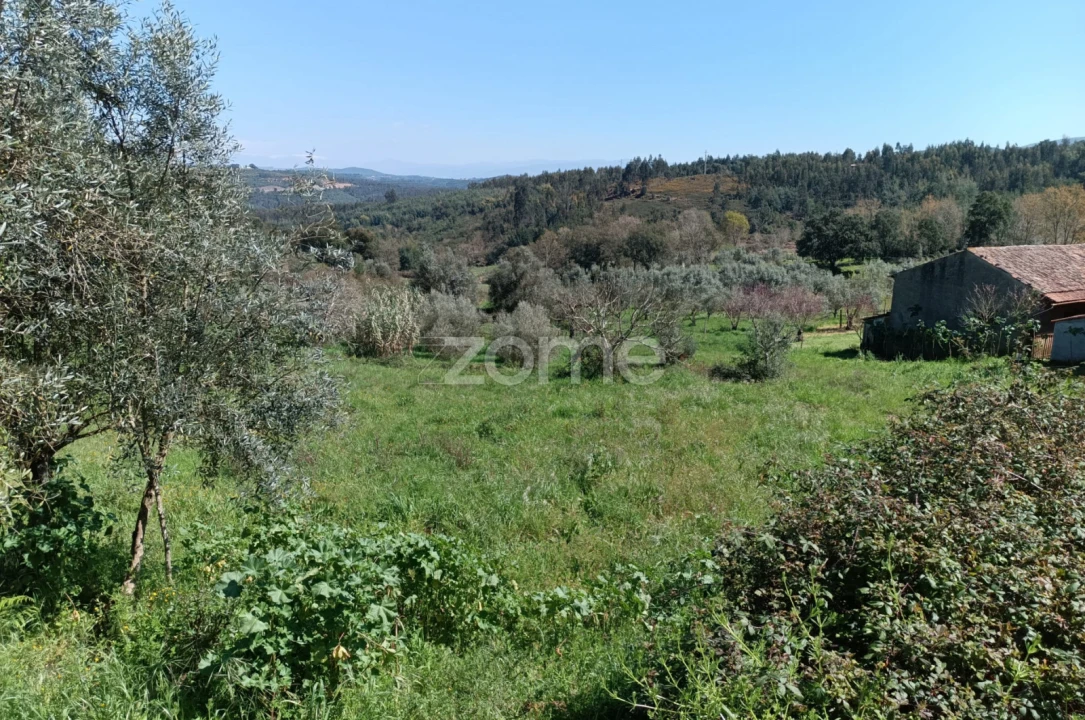 Terreno para Venda em Lavegadas Foto 13