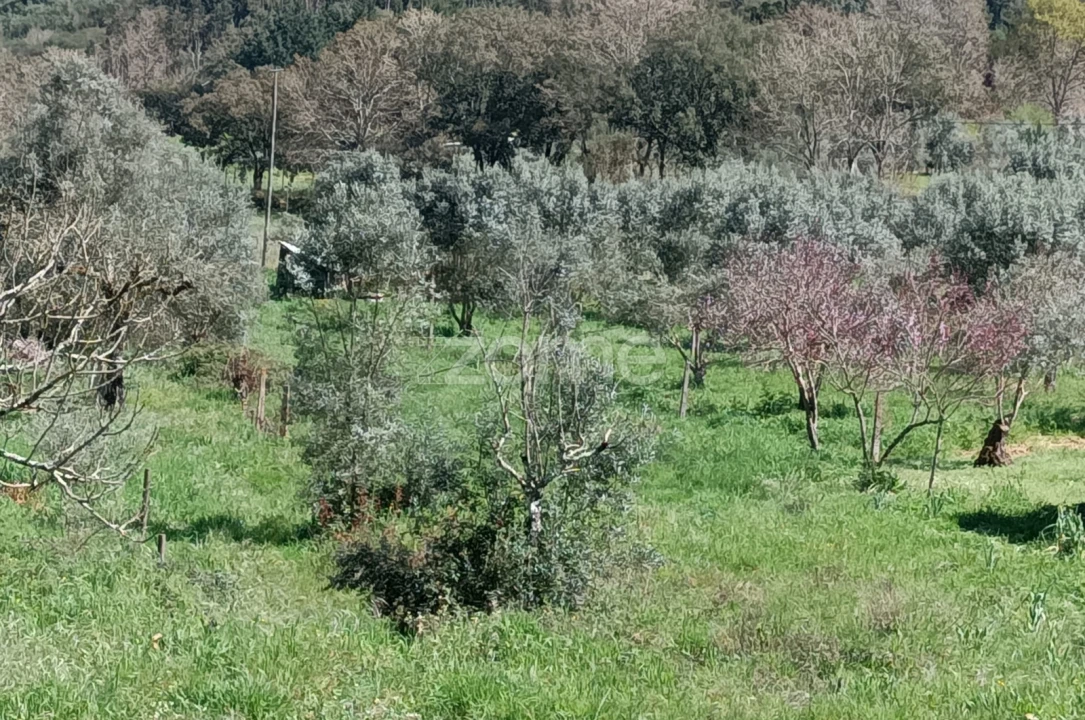 Terreno para Venda em Lavegadas Foto 3