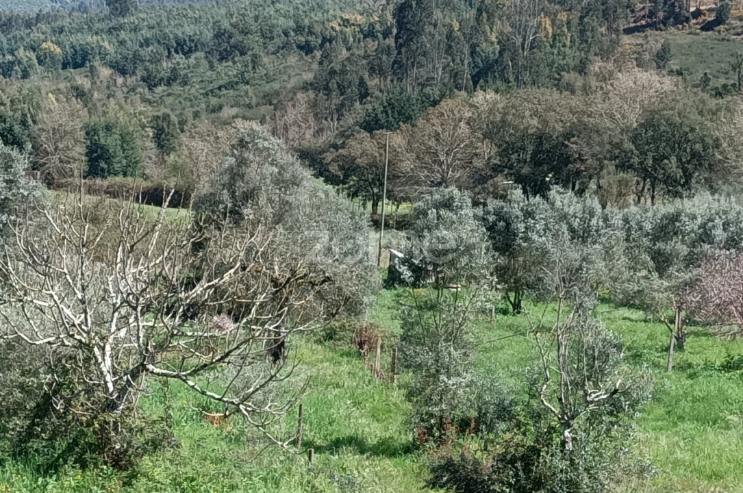 Terreno para Venda em Lavegadas Foto 2