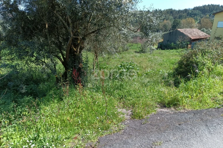Terreno para Venda em Lavegadas Foto 7