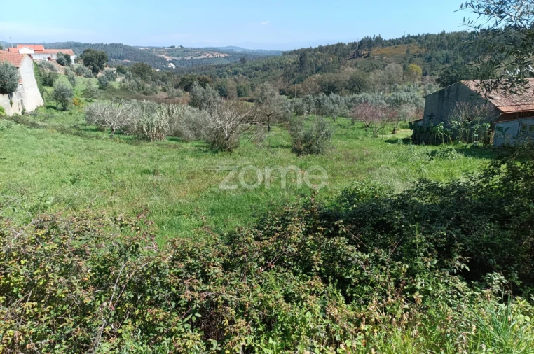 Terreno para Venda em Lavegadas