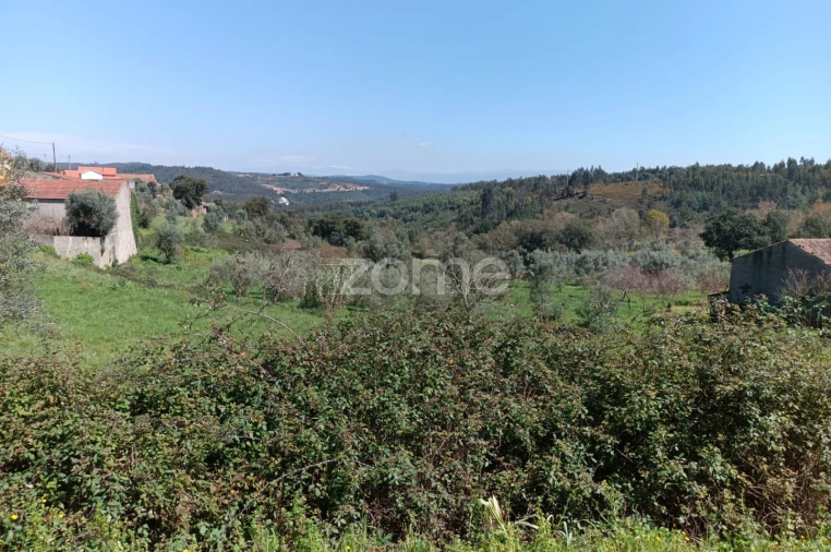 Terreno para Venda em Lavegadas Foto 8