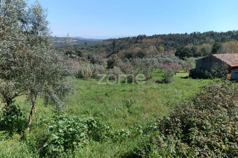 Terreno para Venda em Lavegadas Foto 13