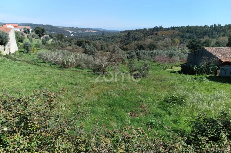 Terreno para Venda em Lavegadas Foto 5