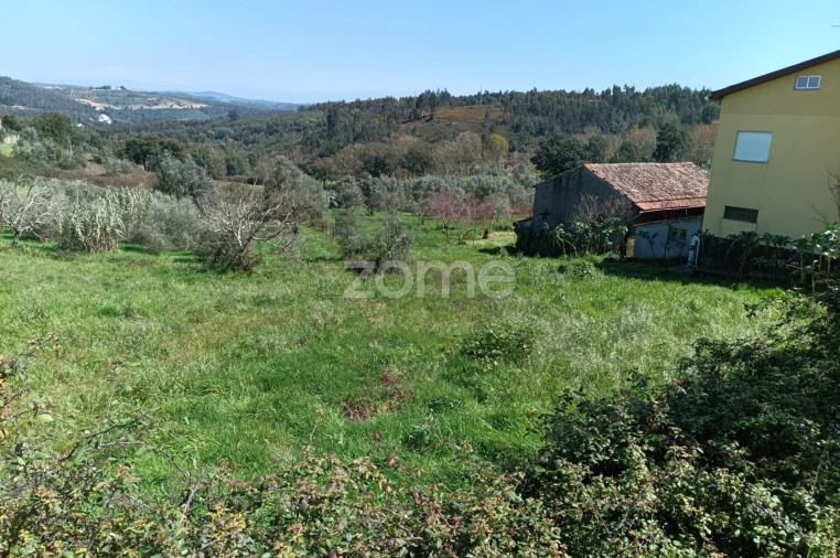 Terreno para Venda em Lavegadas Foto 4