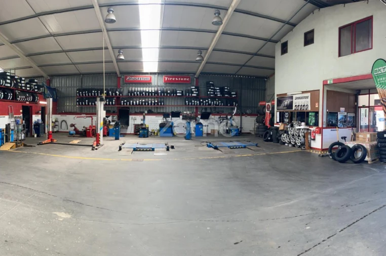 Terreno Comércio / Armazém para Venda em Bustos, Troviscal e Mamarrosa Foto 3