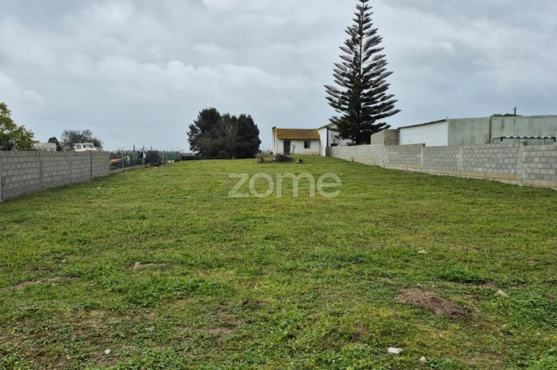 Terreno para Venda em Benavente Foto 4
