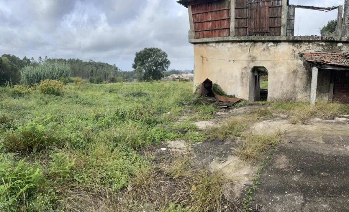 Quinta para Venda em Arrifana Foto 8