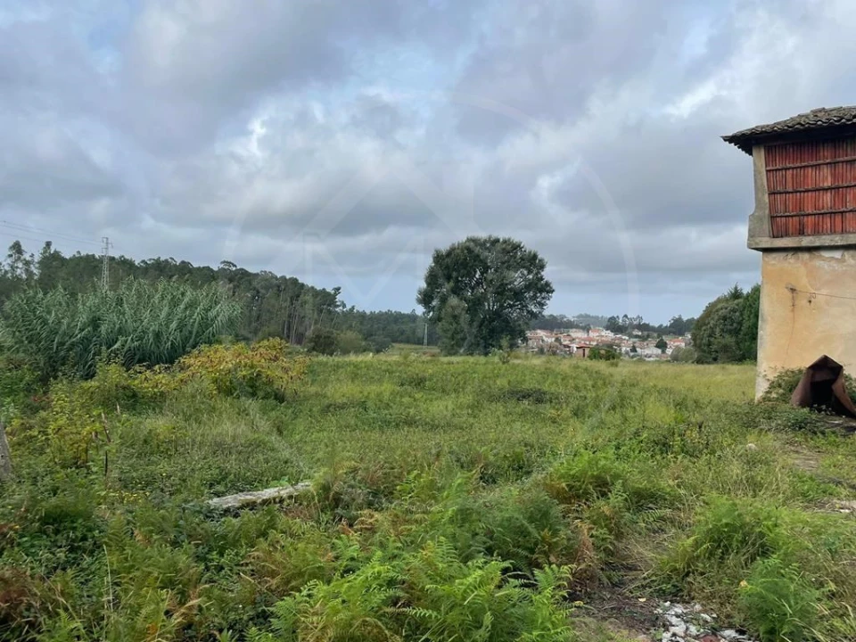 Quinta para Venda em Arrifana Foto 10