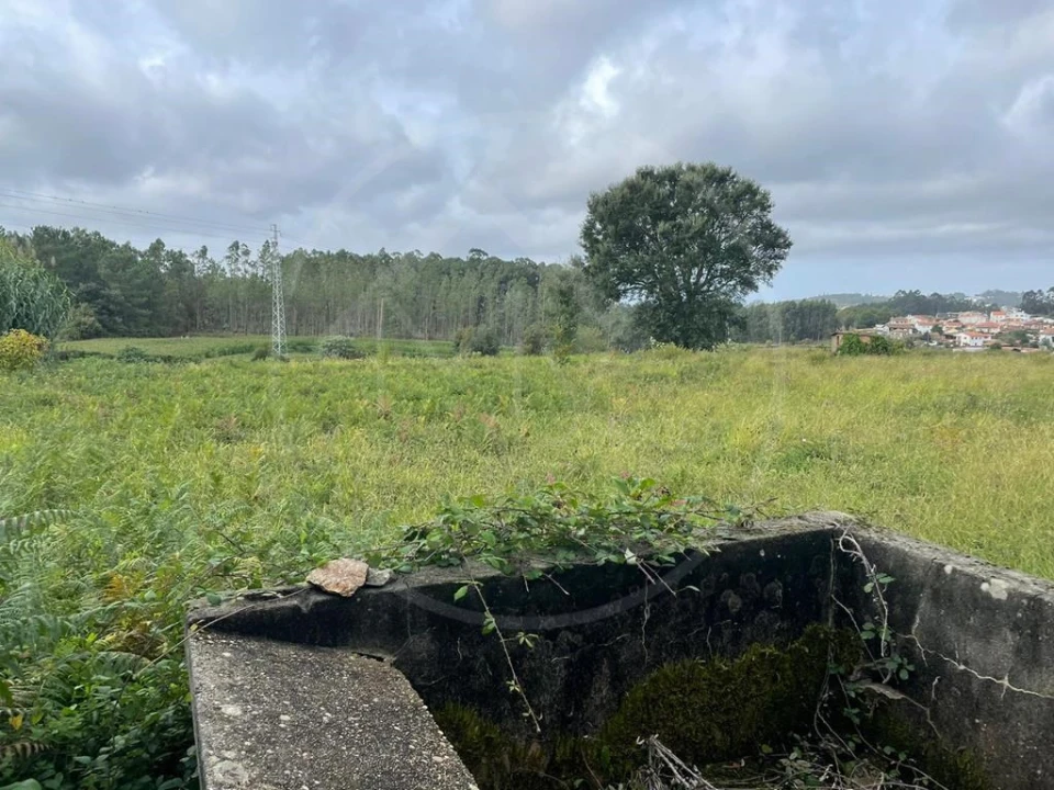 Quinta para Venda em Arrifana Foto 15