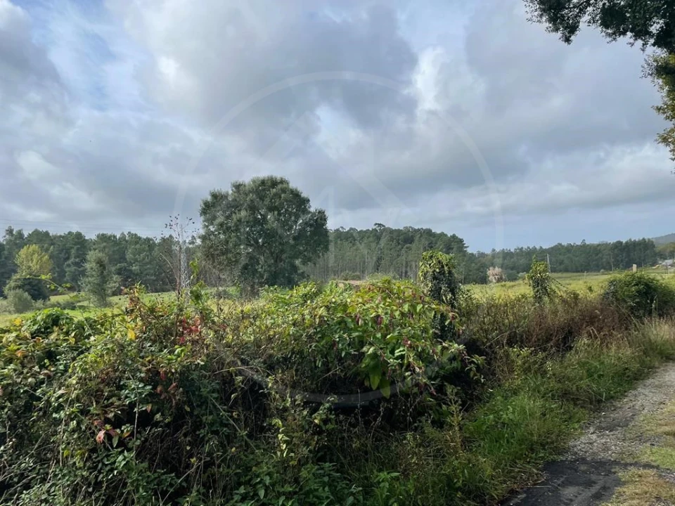 Quinta para Venda em Arrifana Foto 19