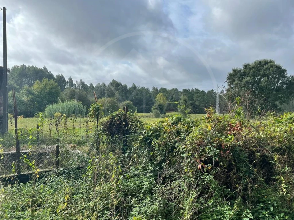 Quinta para Venda em Arrifana Foto 21