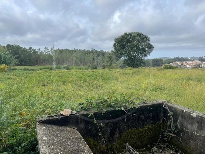 Quinta para Venda em Arrifana Foto 15