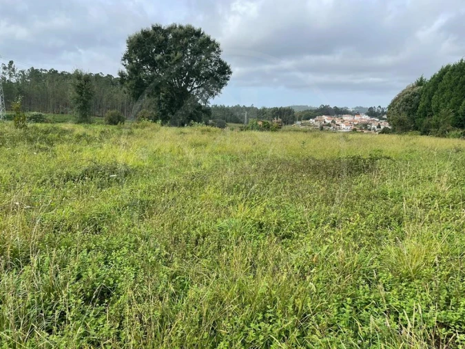 Quinta para Venda em Arrifana Foto 16