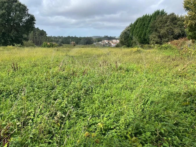 Quinta para Venda em Arrifana Foto 18