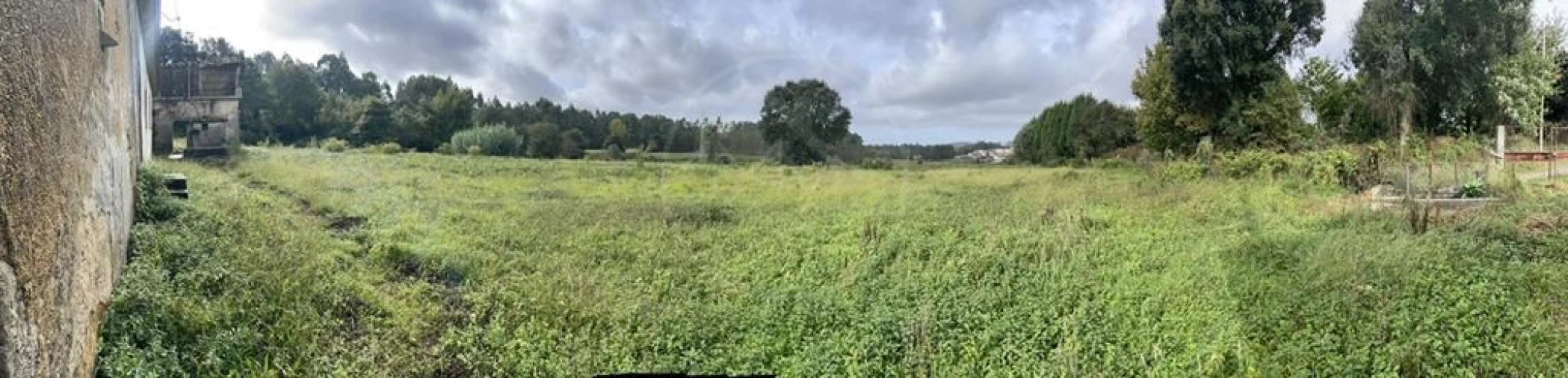 Quinta para Venda em Arrifana Foto 20