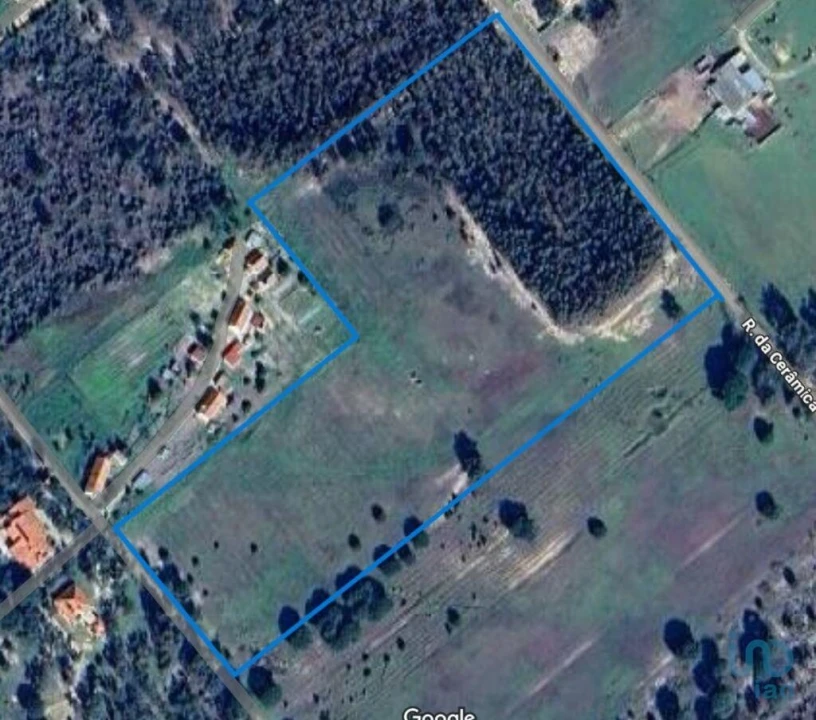 Terreno para Venda em Branca Foto 14